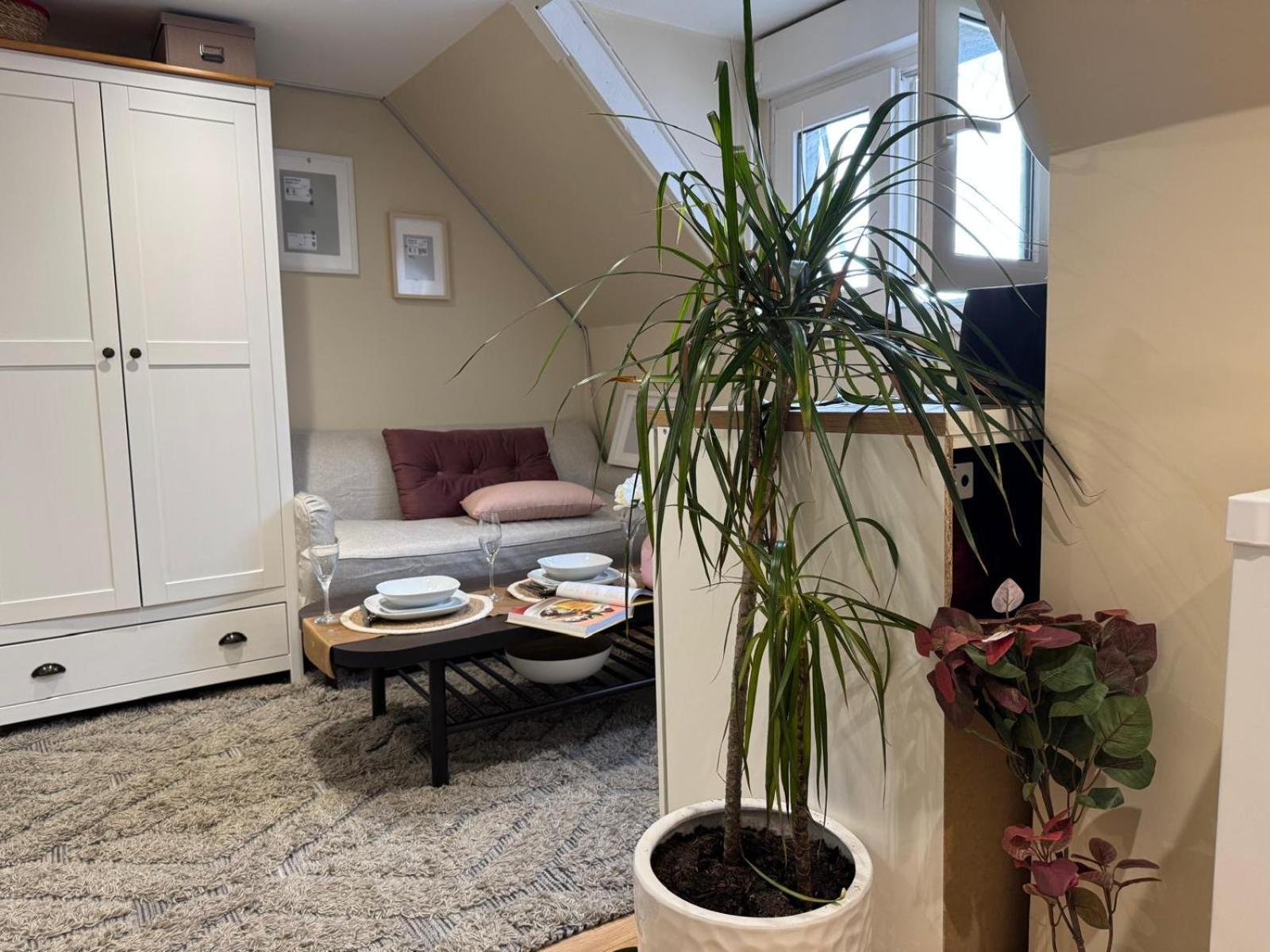 Appartement F1 Meuble Duplex Etage 1